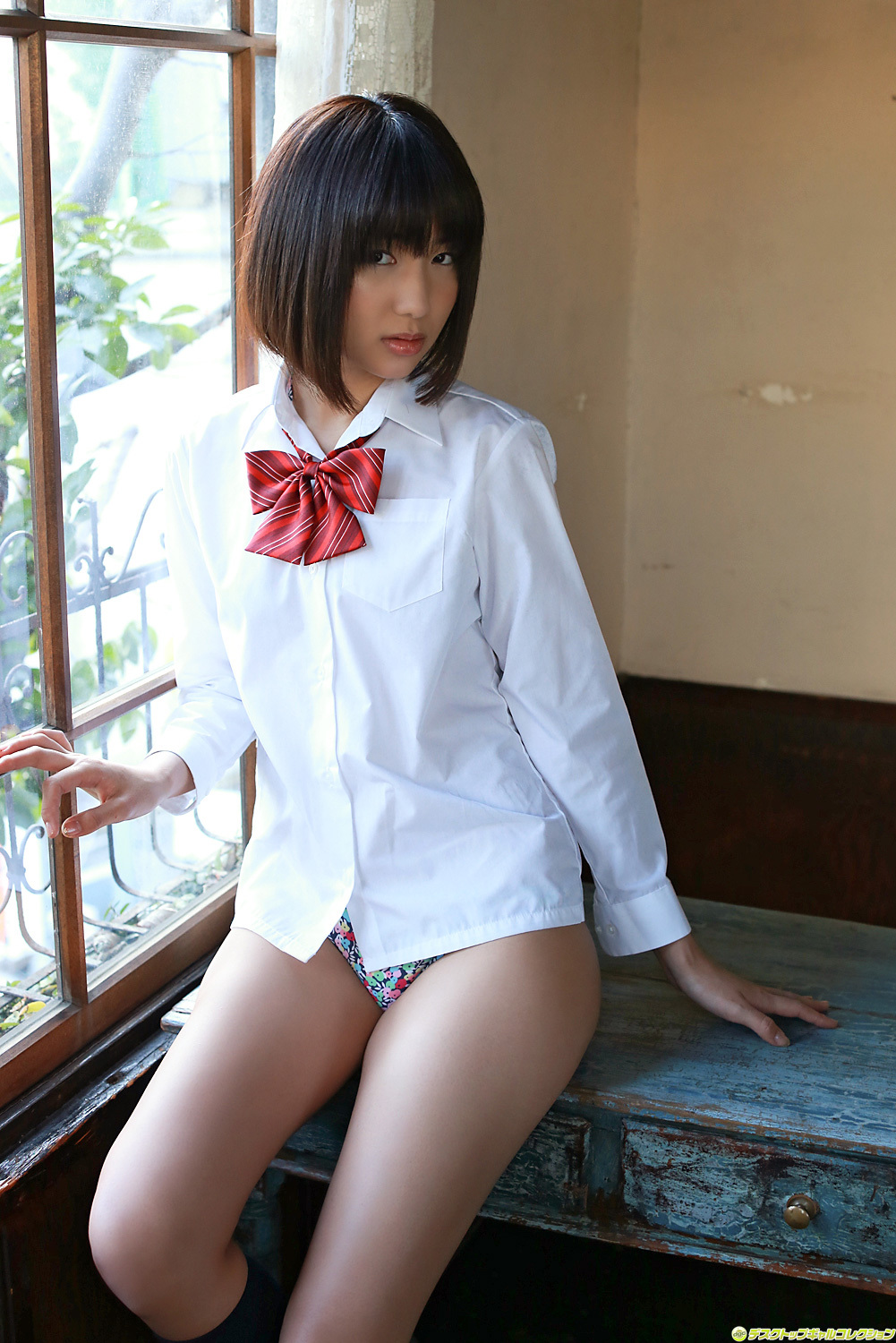 [DGC] 2013.12 no.1132 naoho Ichihashi